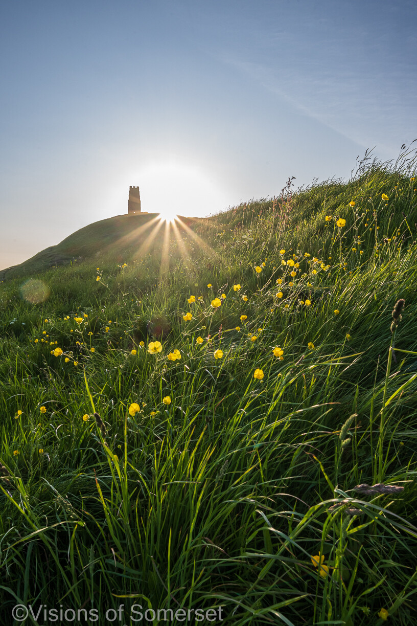 buttercups in the foreground. The tower is on top of the hill and the sun is coming up over the hill on the right of the scene.