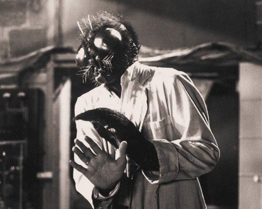 Black and white still from The Fly
