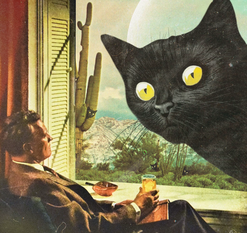 A piece of surreal collage art by Bev Acton with a huge cat looking in the window of a house and a guy with a drink sitting there looking out