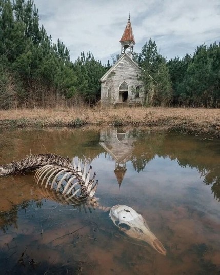 A bizarre image of animal bones in water in front of an abandoned church? Possibly doctored, AI or Photoshop? 