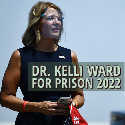 Kelli Ward For Prison 