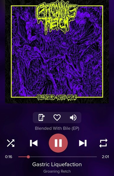 GASTRIC LIQUEFACTION by GROANING RETCH from their Blended with Bile EP, playing on my Pi music player