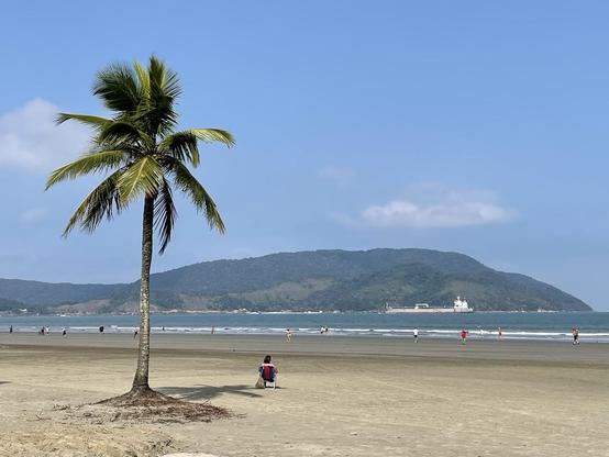 Das Bild zeigt eine idyllische Strandlandschaft mit einem einzelnen Palmenbaum im Vordergrund, der auf einem weiten, sandigen Strand steht. Der Baum hat eine hohe, schlanke Stammform und grüne Blätter, die im Wind wehen. Im Hintergrund erstreckt sich ein sanftes, bewaldetes Hügellandschaft, das in der Ferne in das Meer übergeht. Das Meer ist ruhig und blau, mit einigen Menschen, die am Strand entlang spazieren oder im Wasser spielen. Ein Schiff ist sichtbar, das auf dem Meer fährt. Der Himmel i…